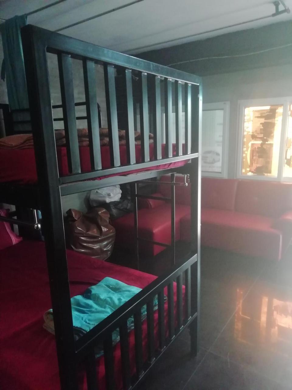 Neverland Dorm 피피섬 객실 사진